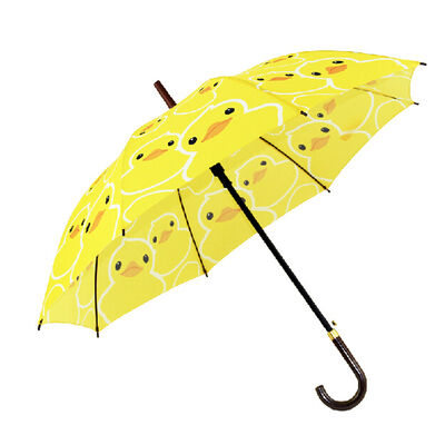 প্যাকেজিং ডিজাইন বিজ্ঞাপন প্রচার এবং পণ্য প্রচার কৌশল জন্য কাস্টমাইজযোগ্য মুদ্রণ কার্টুন চিত্র