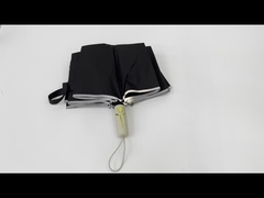 বৃষ্টির ছাতা